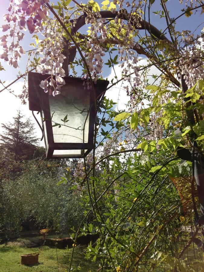Casa Elisabetta Villa Montescudaio Kültér fotó